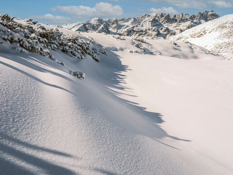 Snowy mountain landscape with dwarf pines and long shadows under a blue sky. Paganella, Roda refuge,Trentino, Italy