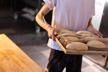 Professional baker hands holding wooden tray with proofing cloth containing multiple raw loaves of sourdough bread dough preparing for baking process in commercial kitchen