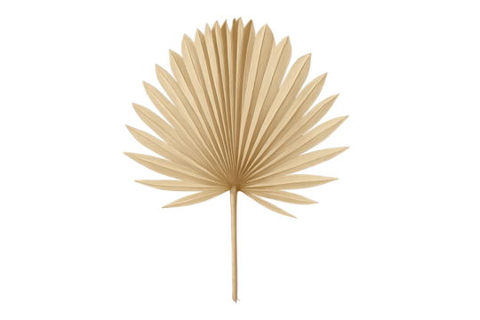 Beige dried palm leaf fan with radial fronds forming decorative natural motif