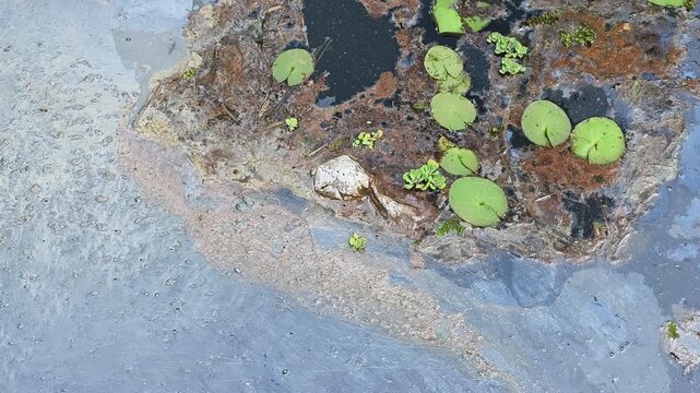 Dirty plastic cover and sewage or chemical and toxic liquid effluent waste contamination float on polluted water surface. River and lake pollution damage and environmental ecosystem disaster concept.