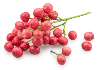 Fresh pink peppercorns on branch isolated on white background. File contains clipping paths.