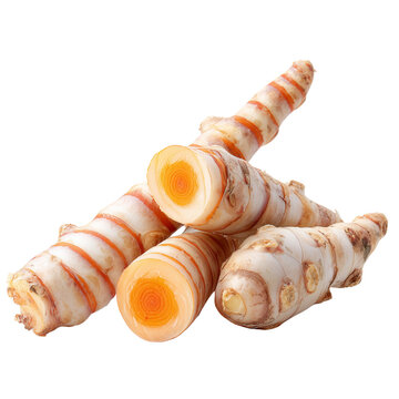 fresh galangal root on transparent png background
