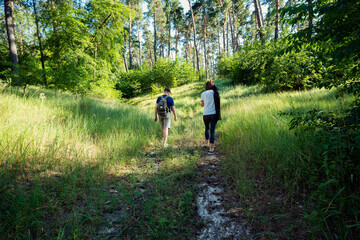 Two people enjoy a leisurely walk on a sun-dappled path through a vibrant green forest, surrounded by tall trees and lush grass. Perfect for themes of nature, adventure, and outdoor recreation.
