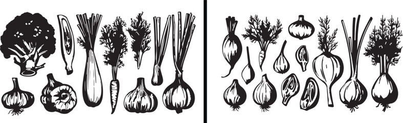 Botanical herb illustration, medicinal plant drawing, natural root sketch, organic herb vector, herbal medicine artwork, hand drawn plant art, botanical outline clipart, vintage herbal design, natural