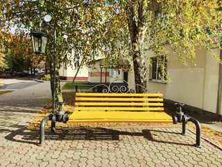 Yellow park bench with decorative metalwork next to a street lamp featuring a clock, under a birch tree with autumn leaves on a sunny day in an urban setting
