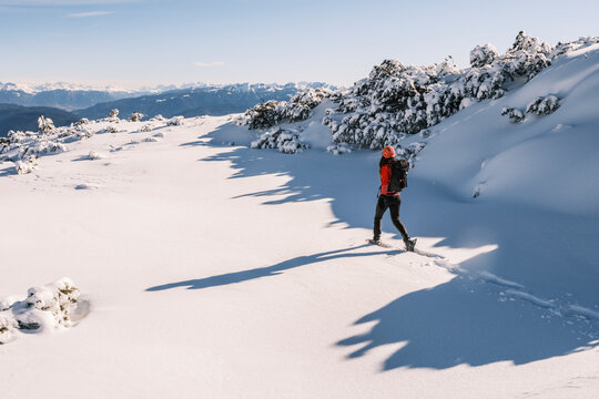 A woman snowshoes across a snowy landscape with distant mountains under a blue sky. Paganella, Roda refuge,Trentino, Italy