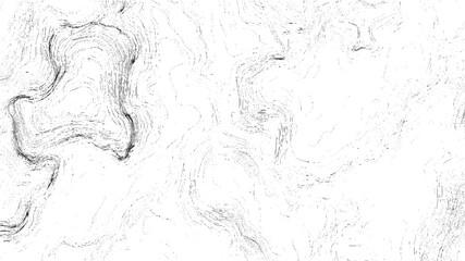 Black and white abstract contour lines creating a topographic map like pattern background
