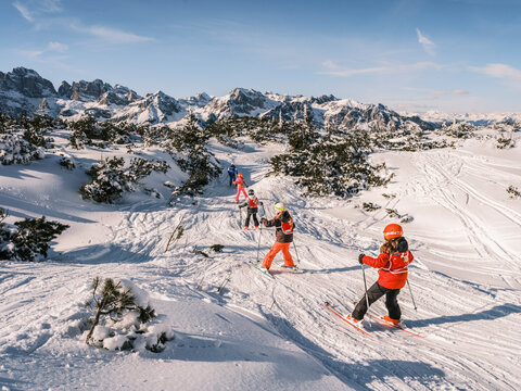 A group of children ski down a snowy slope, with snow-covered mountains in the background under a blue sky. Paganella, Roda refuge,Trentino, Italy