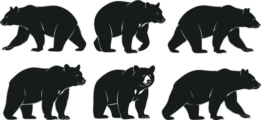 Black silhouette vector illustration set of bears in various walking and standing poses, isolated on white background, wildlife animal graphic design.