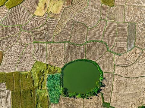 Aerial view of patchwork fields, a tranquil pond reflecting the sky, and the earth's rich tapestry, Naogaon, Rajshahi Division, Bangladesh.