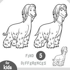 Afghan hound character. Spot the differences game for kindergarten and preschool children. Black and white coloring page for kids about dog breeds