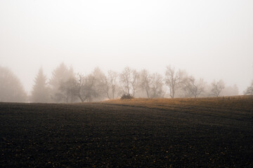 Foggy misty moody landscape in autumn