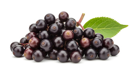 Fototapeta premium Fresh elderberries piled with vibrant green leaf on white background 