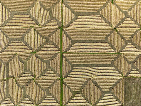 Aerial view of an array of geometric shapes and patterns etched into the earth in fields, presenting a textured landscape, Panchagarh, Rangpur Division, Bangladesh.