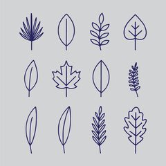 Fototapeta premium boho leaf icon set