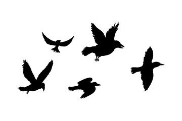 Naklejka premium Flying flock of birds silhouette, Simple swallows in flight, crows in the sky. Group of birds border.