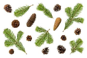 Fototapeta premium Collection of green fir tree, pine or spruce branches and pine cones isolated on a transparent background, PNG. High resolution. Natural evergreen elements for Christmas and winter decoration.
