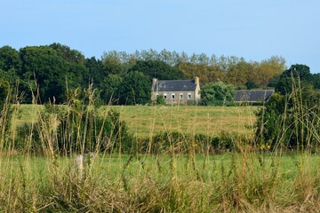 Paisaje de prados verdes cerca de Pédernec, Costa de Granito Rosa, Côtes-d'Armor, Bretaña,...