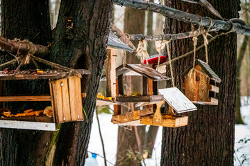 Wooden birdhouses create a charming scene in a snowy forest, inviting birds to visit in winter