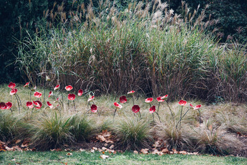 Plantes et fleurs artificielles dans un jardin fleuri au printemps. Arts et sculpture floral.