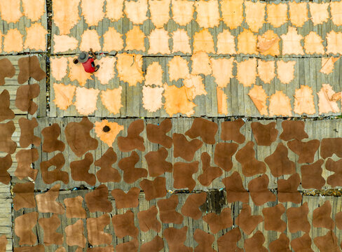 Aerial view of hides drying in the sun, laid out in neat rows creating a textured mosaic of browns and tans, Dhaka, Dhaka Division, Bangladesh.