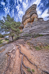 Fototapete bei efototapeten.de bestellen   