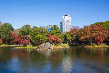 小石川後楽園の秋の風景