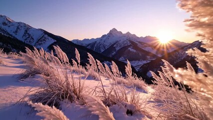 Golden sunrise illuminates snowy mountain peaks with frosty reeds in foreground - Powered by Adobe