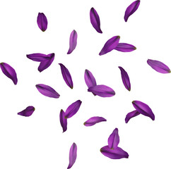 Falling Purple Lily Petals 3D Render
