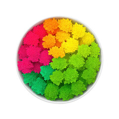 Fototapeta premium Colorful flower arrangement vibrant chrysanthemum round white bowl top view gradient rainbow pattern decorative floral display cheerful and bright isolated on white