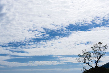 秋の終わりの空と雲を山から見上げる13