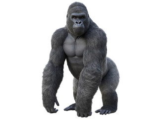 Powerful silverback gorilla isolated PNG, majestic primate with detailed fur on transparent background, wildlife animal for design projects