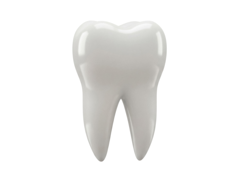 Realistic molar tooth isolated PNG on transparent background, dental care concept for medical and educational use, 3D rendering