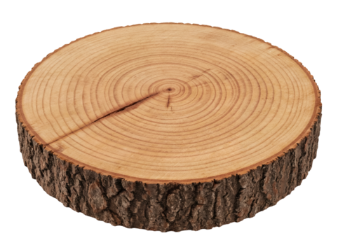 Natural wood slice isolated PNG on transparent background, tree trunk cross section with bark for rustic decor and craft projects