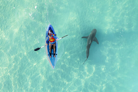 Aerial view of a lone kayaker paddles through the turquoise waters, shadowed by a dark shark lurking nearby, creating a stark contrast of serenity and peril, Hadera, Haifa District, Israel.
