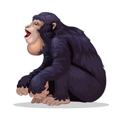 Siamang Ape Sitting and Calling. Wildlife Animal Illustration Vector