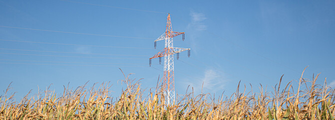 High-voltage transmission tower rising above a dry cornfield under a clear blue sky