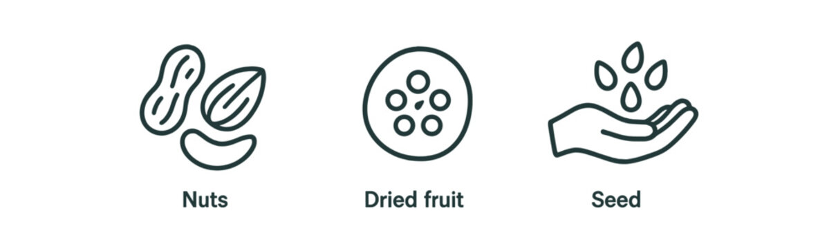 minimal icons nuts mix black outline dried fruit black outline seed handful black outline