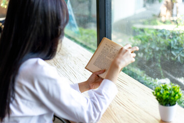 Woman reading a book by a bright window with natural light and greenery, expressing focus, relaxation, and a peaceful lifestyle moment in a cozy cafe setting.