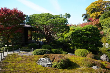 京都 秋の紅葉の季節の城南宮の風景