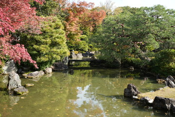 京都 秋の紅葉の季節の城南宮の風景