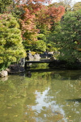 京都 秋の紅葉の季節の城南宮の風景