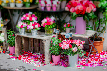 Colorful flowers in pots and vases surround a rustic wooden display adorned with petals