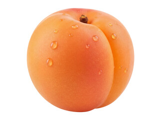 Fresh apricot with water droplets isolated PNG, juicy stone fruit on transparent background for...