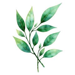 Ultra-Detailed Metallic Botanical Silhouette Watercolor Clipart with Gold, Silver, Rose Gold, Teal, Holographic & Chrome Foil Highlights on Transparent Background &ndash; Elegant Floral Leaf & Flower