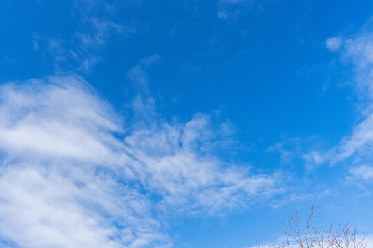 秋の終わりに青空と雲を見上げる02