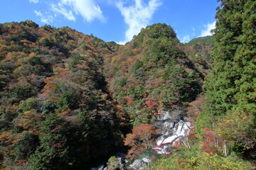 瀬戸川渓谷　秋の渓谷美　（高知県　土佐町）