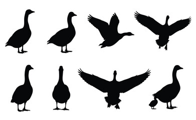 Goose and Duck Silhouette Vector Set, Illustrating Flying, Landing, Standing, and Swimming Poses, Ideal for Logo Design, Wildlife Graphics, and Nature Decoration, Black on White