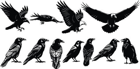 lack Vector Silhouettes Set of Majestic Ravens, Crows, and Soaring Eagles, Illustrating Various Flying, Perching, and Standing Poses, Ideal for Logo Design, Mythology, and Vintage Graphics, Isolated