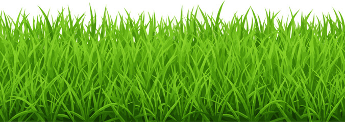 Isolated a bright green realistic seamless grass border Vector art with white background ..